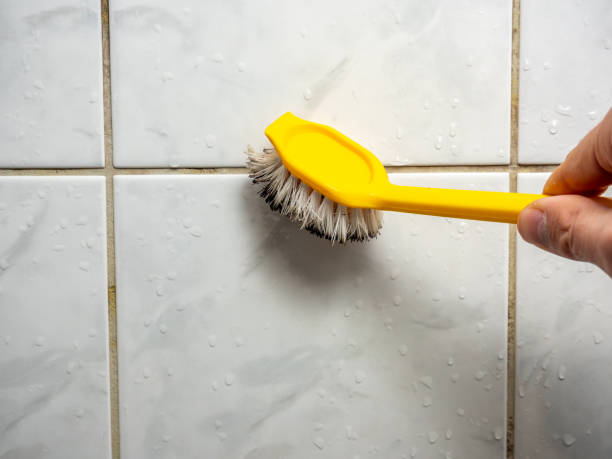 Best Toxic Mold Removal  in Sauk Rapids, MN