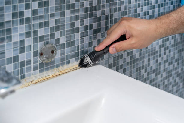Trusted Sauk Rapids, MN Mold Removal Experts