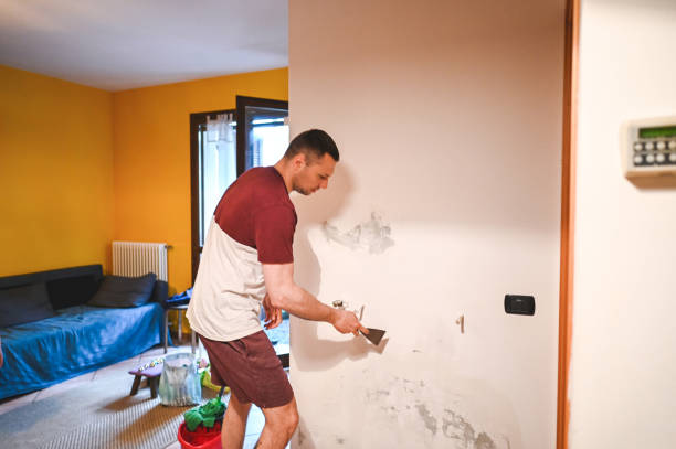Best Mold Removal and Inspection  in Sauk Rapids, MN
