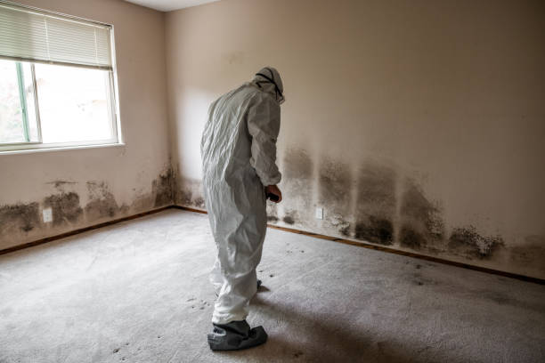 Best Crawl Space Mold Removal  in Sauk Rapids, MN